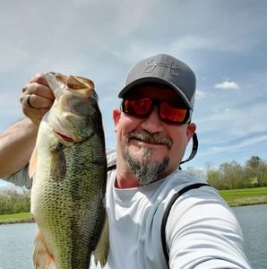 Meet your Posher, Bobby